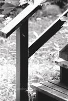 Alphabet Photography Letter F