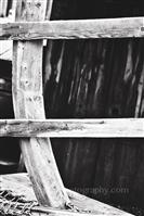 Alphabet Photography Letter F