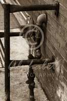 Alphabet Photography Letter F                                          