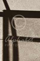 Alphabet Photography Letter F                                          