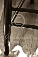 Alphabet Photography Letter F                                          