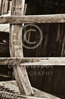 Alphabet Photography Letter F                                          