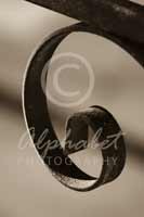 Alphabet Photography Letter G                                          