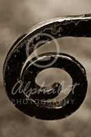 Alphabet Photography Letter G                                          