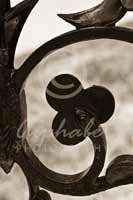 Alphabet Photography Letter G                                          
