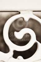 Alphabet Photography Letter G                                          