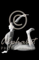 Alphabet Photography Letter G                                          