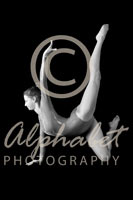 Alphabet Photography Letter H                                          