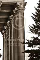 Alphabet Photography Letter I                                          
