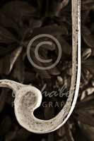 Alphabet Photography Letter J                                          