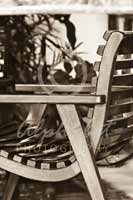 Alphabet Photography Letter J                                          