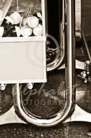 Alphabet Photography Letter J                                          