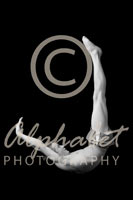 Alphabet Photography Letter J                                          
