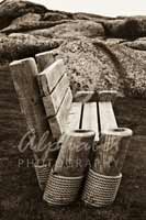 Alphabet Photography Letter L                                          