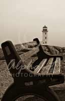 Alphabet Photography Letter L                                          