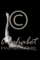 Alphabet Photography Letter L                                          