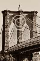 Alphabet Photography Letter M                                          