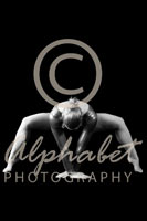 Alphabet Photography Letter M                                          