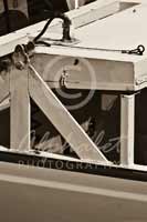 Alphabet Photography Letter N                                          