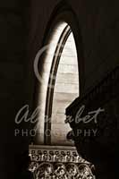 Alphabet Photography Letter N                                          
