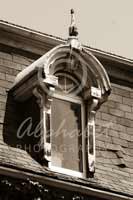 Alphabet Photography Letter N                                          