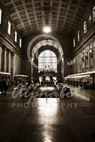 Alphabet Photography Letter N                                          