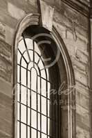 Alphabet Photography Letter N                                          