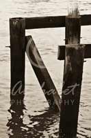 Alphabet Photography Letter N                                          