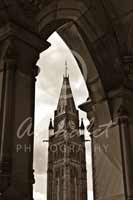 Alphabet Photography Letter N                                          