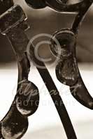 Alphabet Photography Letter N                                          