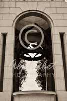 Alphabet Photography Letter N                                          