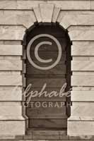 Alphabet Photography Letter N                                          
