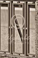 Alphabet Photography Letter N                                          