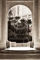 Alphabet Photography Letter N                                          