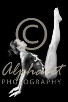 Alphabet Photography Letter N                                          