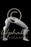 Alphabet Photography Letter N                                          
