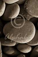 Alphabet Photography Letter O                                          