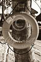 Alphabet Photography Letter O                                          