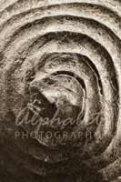 Alphabet Photography Letter O                                          