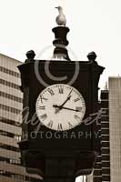 Alphabet Photography Letter O                                          