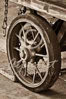 Alphabet Photography Letter O                                          