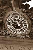 Alphabet Photography Letter O                                          