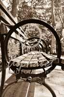 Alphabet Photography Letter O                                          