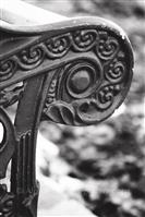 Alphabet Photography Letter P