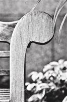 Alphabet Photography Letter P