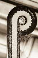Alphabet Photography Letter P                                          