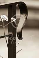 Alphabet Photography Letter P                                          