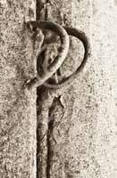 Alphabet Photography Letter P                                          