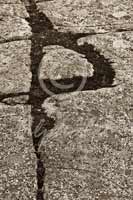 Alphabet Photography Letter P                                          