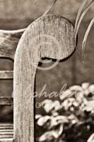 Alphabet Photography Letter P                                          